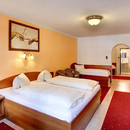 Otel Cityhotel Schwarzer Baer